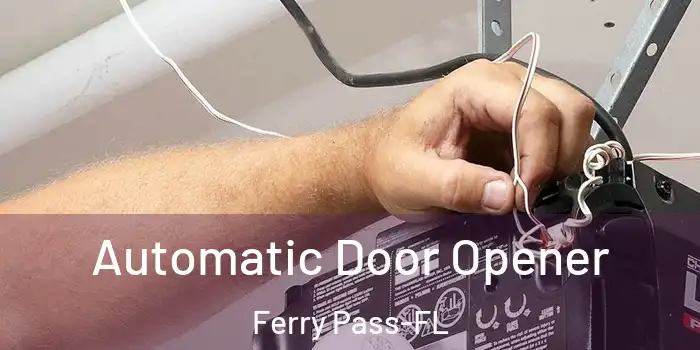 Automatic Door Opener Ferry Pass-FL