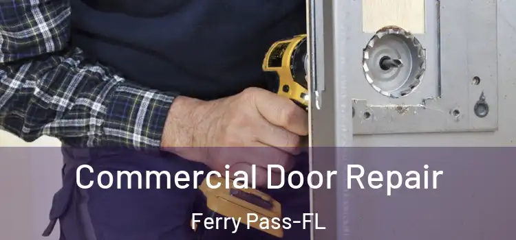 Commercial Door Repair Ferry Pass-FL