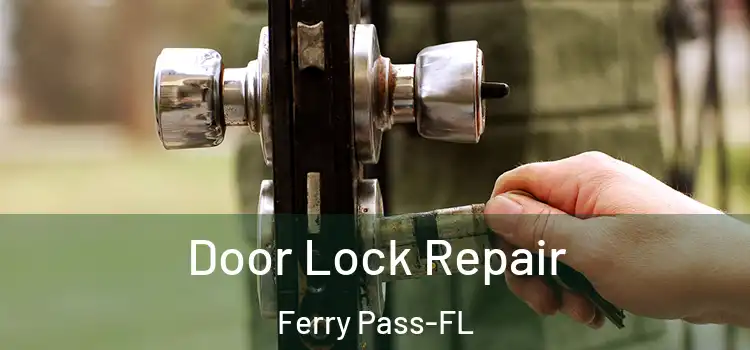 Door Lock Repair Ferry Pass-FL