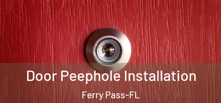 Door Peephole Installation Ferry Pass-FL