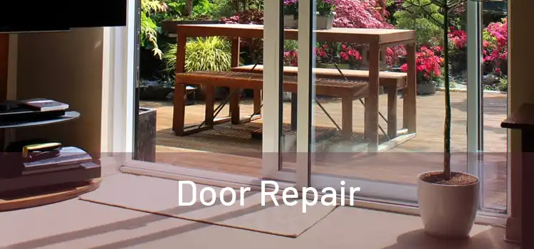 Door Repair