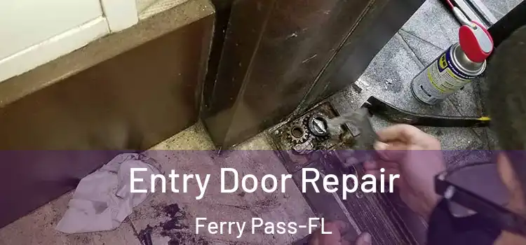 Entry Door Repair Ferry Pass-FL