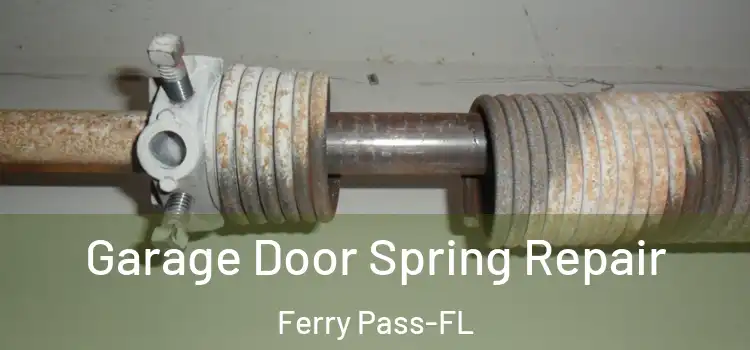 Garage Door Spring Repair Ferry Pass-FL