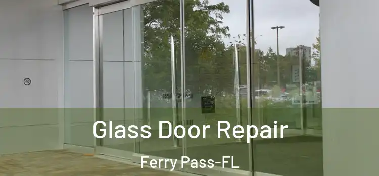 Glass Door Repair Ferry Pass-FL