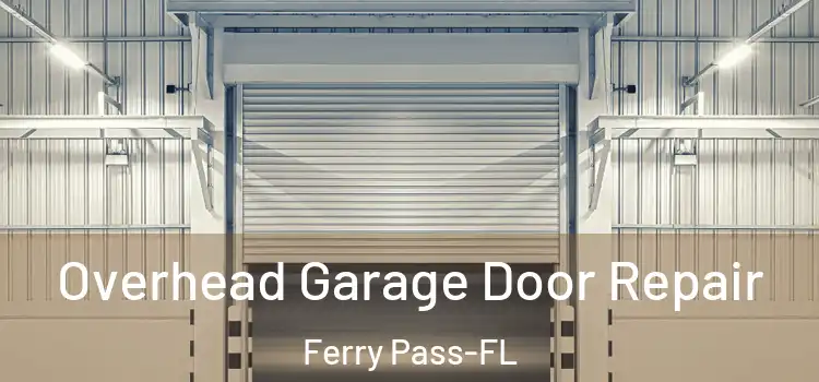 Overhead Garage Door Repair Ferry Pass-FL