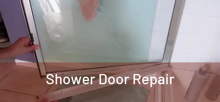 Shower Door Repair