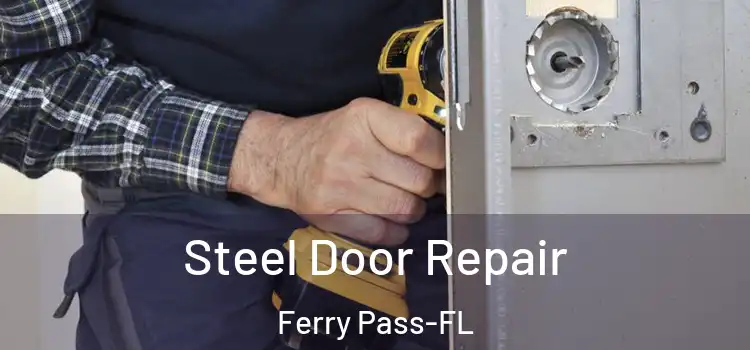 Steel Door Repair Ferry Pass-FL